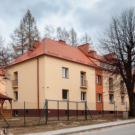 Koza Na Strychu Apartment Stronie Śląskie Exterior foto