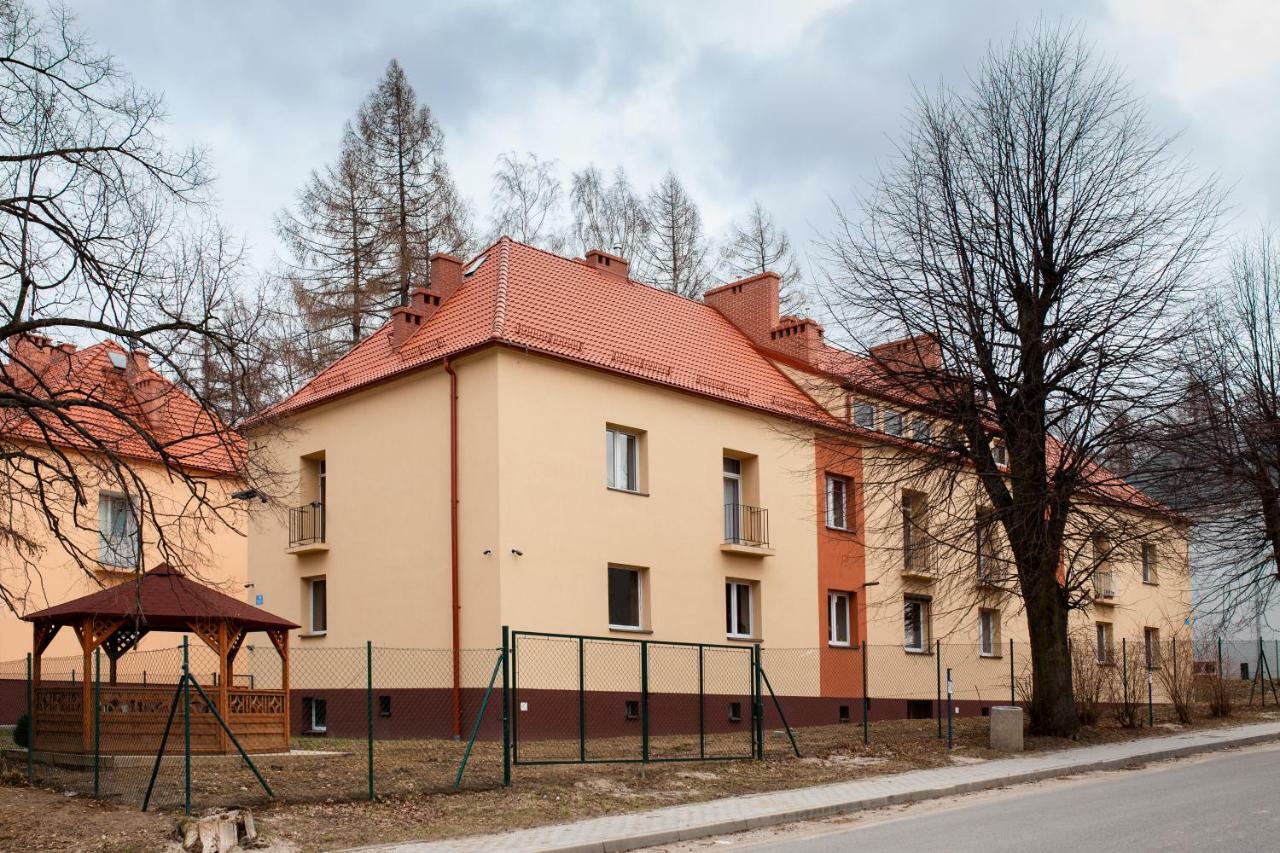 Koza Na Strychu Apartment Stronie Śląskie Exterior foto